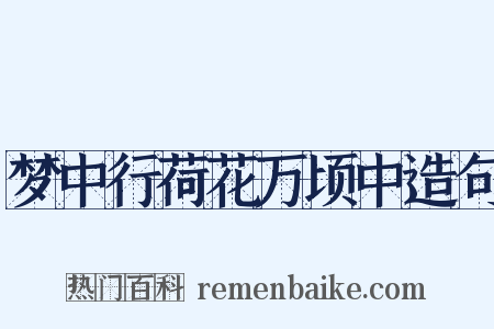 梦中行荷花万顷中造句是什么意思的图片